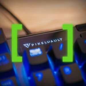 Het Pixel Vault exitgesprek.
